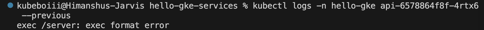 Container logs showing exec format error